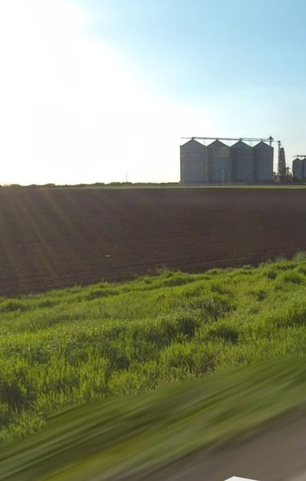 Dau in arenda 18000mp in Vinga, la Dn Arad -Timisoara.

Pret 500 euro/ha