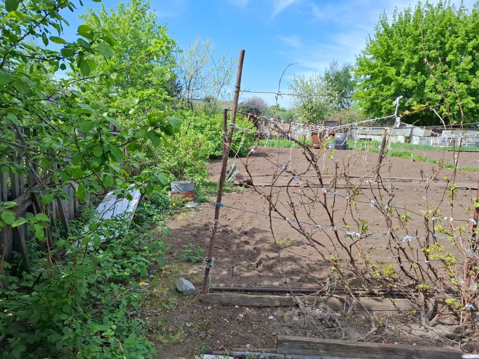 Продам дачу сад Здоровье