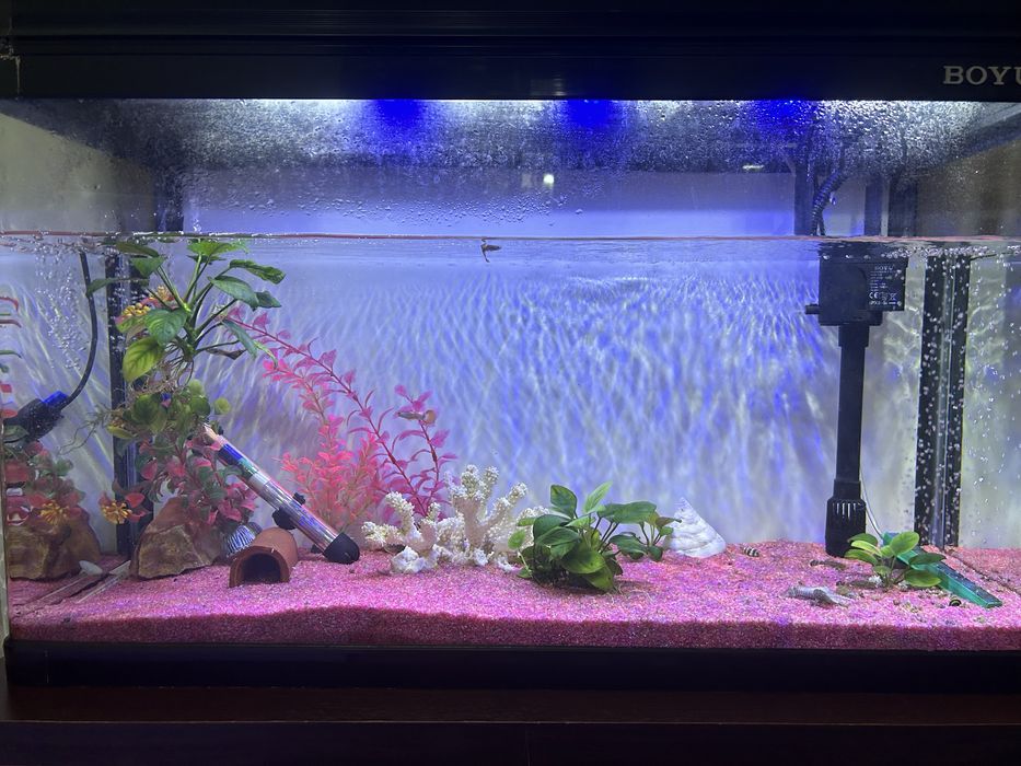 Продам аквариум Boyu