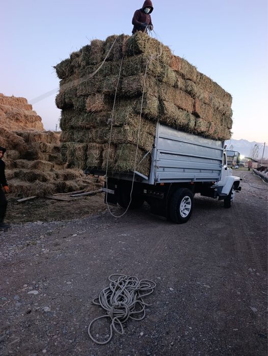 Продам сено/клевер