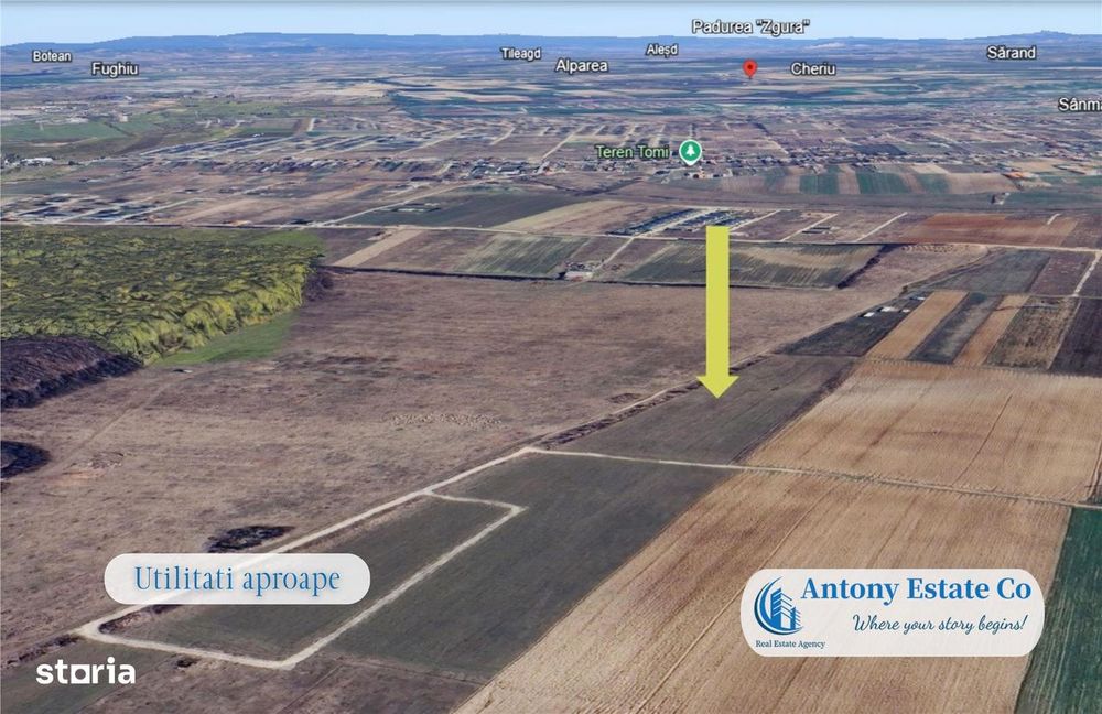 Antony Estate | Oportunitate de investitie - Teren Cihei, langa Padure