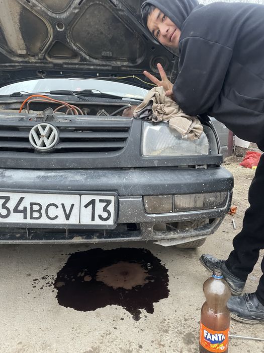 Соқа дау корпус