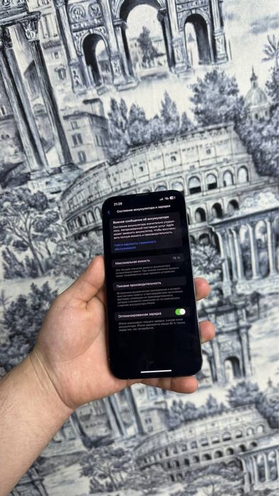 Iphone 13 pro max srochna