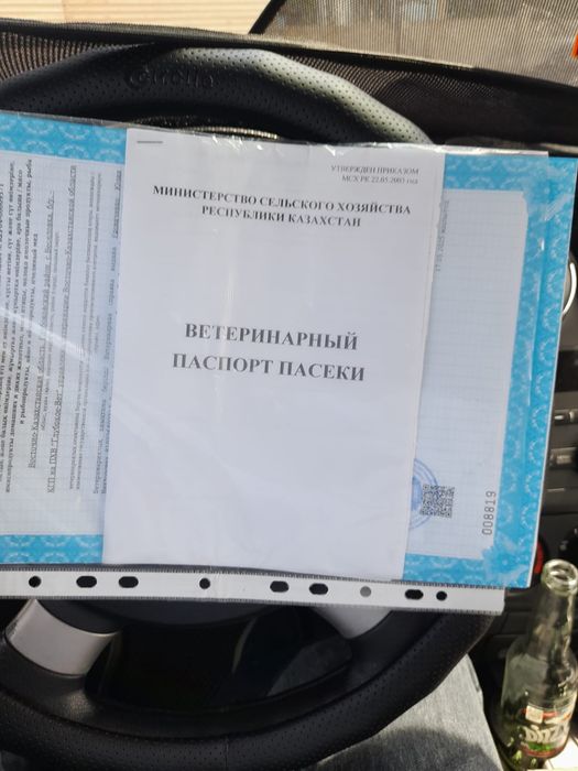 Мёд оптом и в розницу