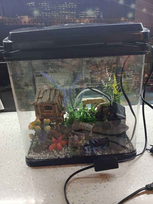 Аквариум 20 литра оборудван