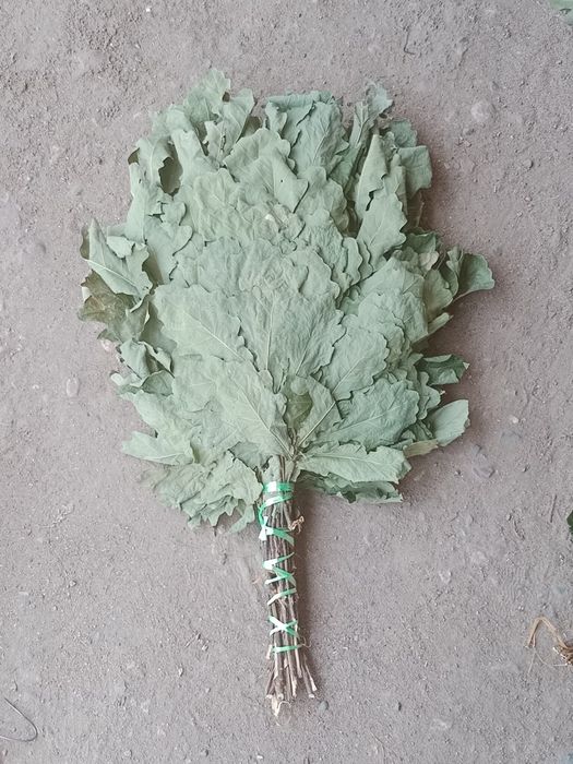 Дубовый веники..