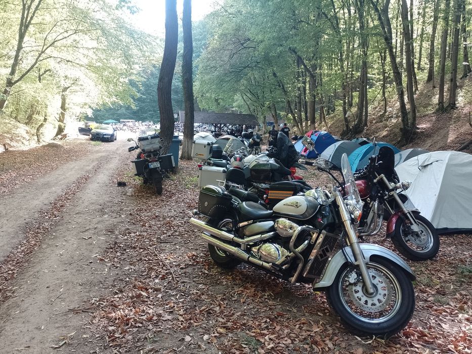 Suzuki volusia 4550 euro negociabil