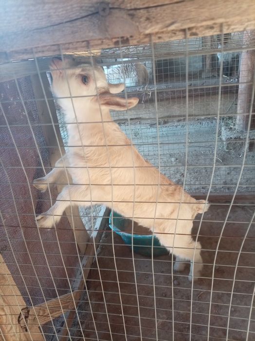 150000.. ешкииилер