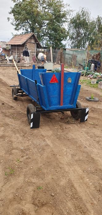 De vanzare ponei si caruta