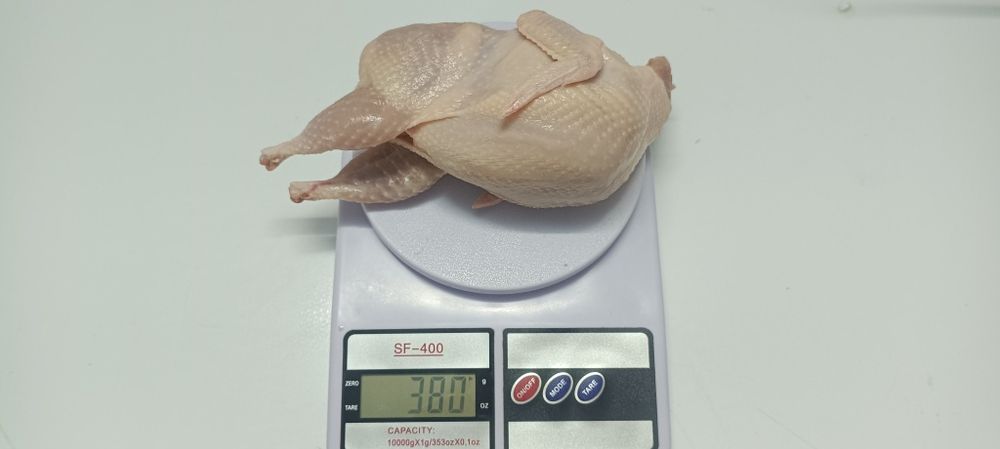 Продам мясо перепелов