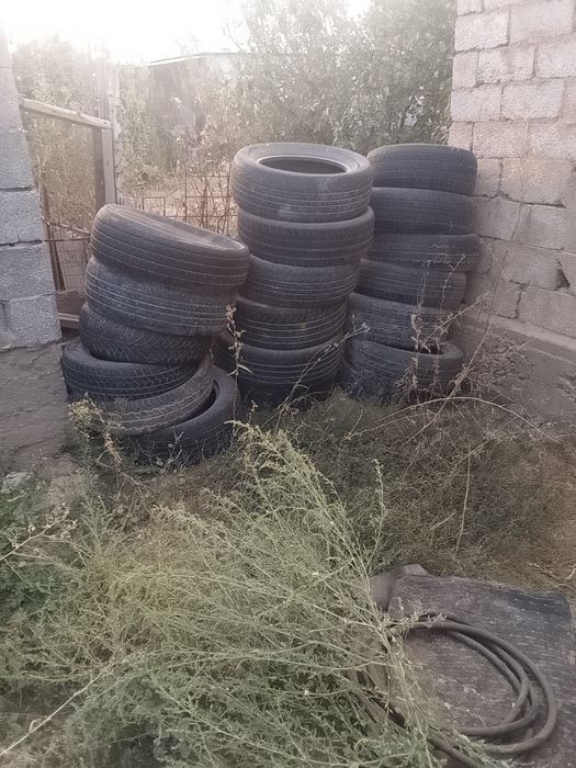 Балондар бар арзан