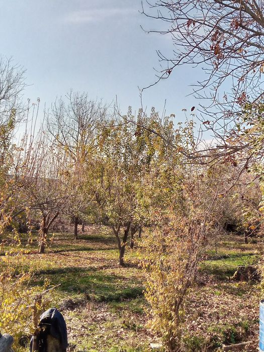 SROCHNO!!! Utin sotiladi