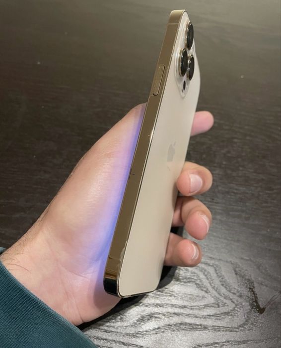 Iphone 13 Pro Max 256gb