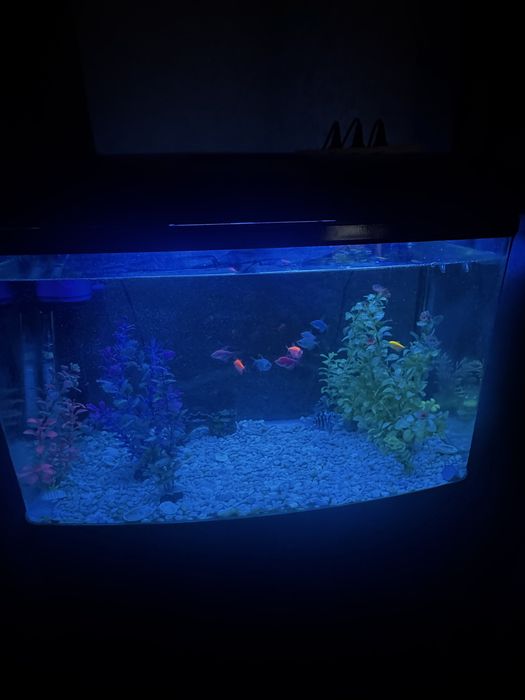 Продам Аквариум