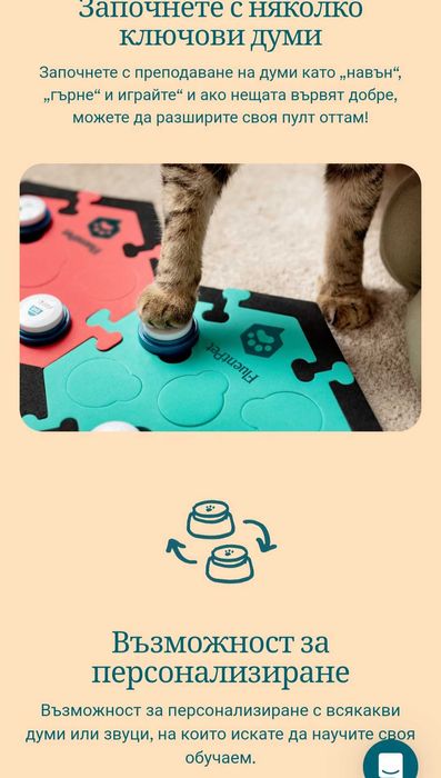 Общувай с домашен любимец