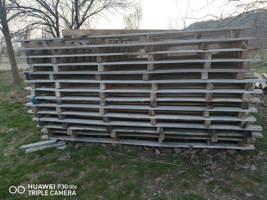 Vând paleti 280 × 200.6