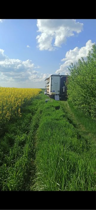 Miere de albine diverse sortimente