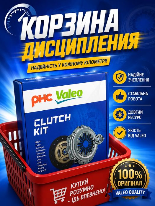 Karzina disipleniya