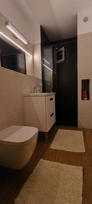Apartament 3 camere  et 2  Terezian str.Lungă