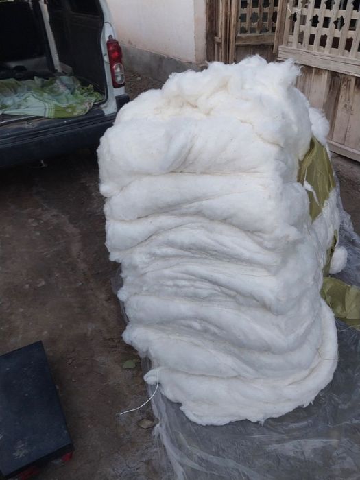 Assalomualikom xar xil turdagi Paxtalar bar satiladi yetkazib beramiz