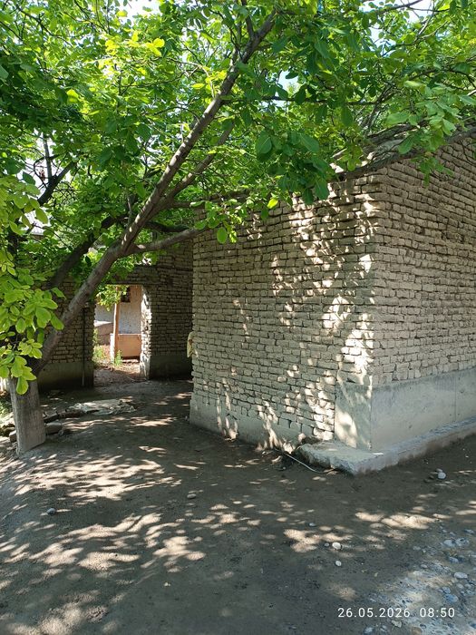 Ер урни. Мевали дарахтлари билан