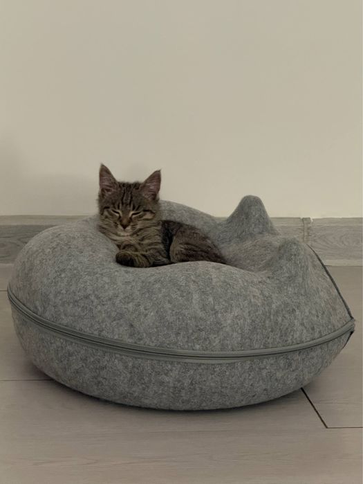 Отдаем активного мальчика в добрые руки!