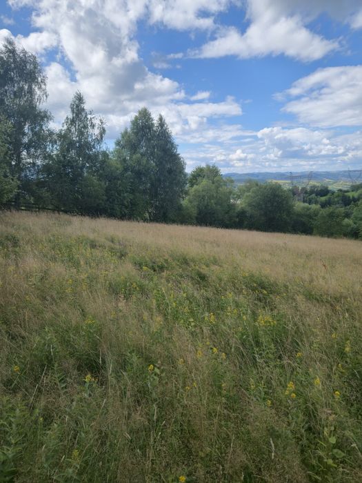 Vand teren  intravilan 2700 mp in Bran jud Brasov