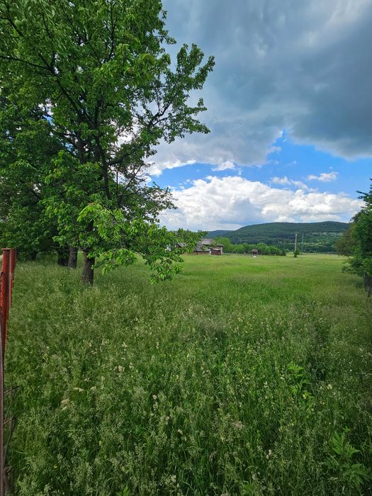 Teren 12.006 mp – Deschidere 58m, Casă bătrânească, Anexe, Gaze și Apă la poartă