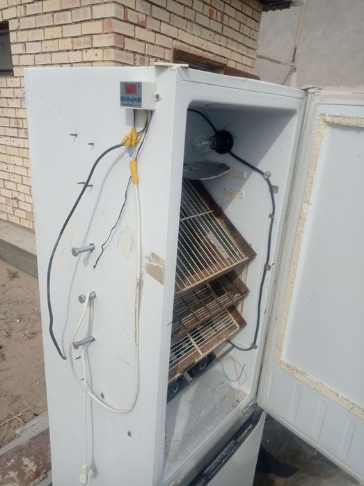 Инкубатор сатылады