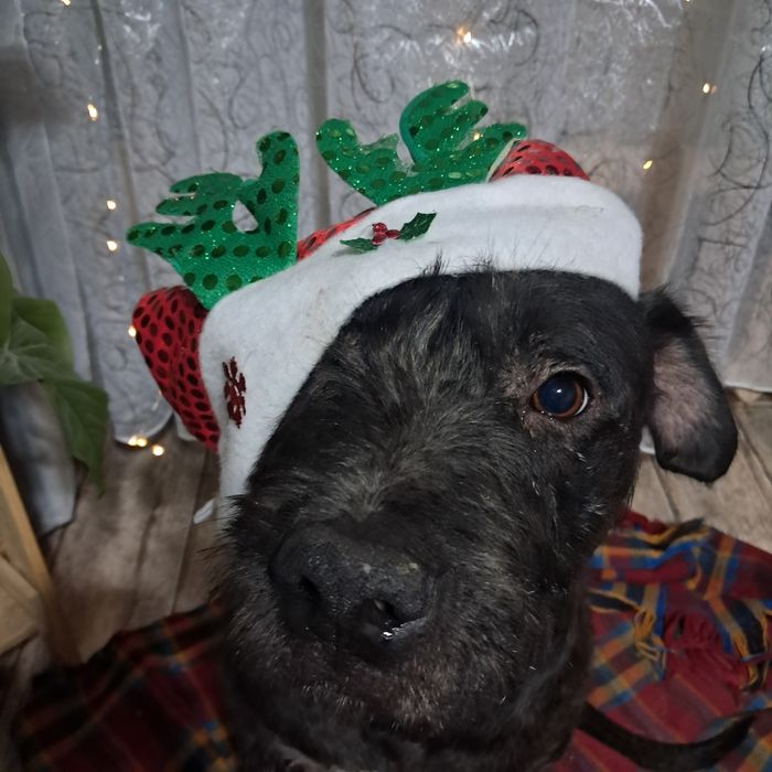 Друг на всю жизнь