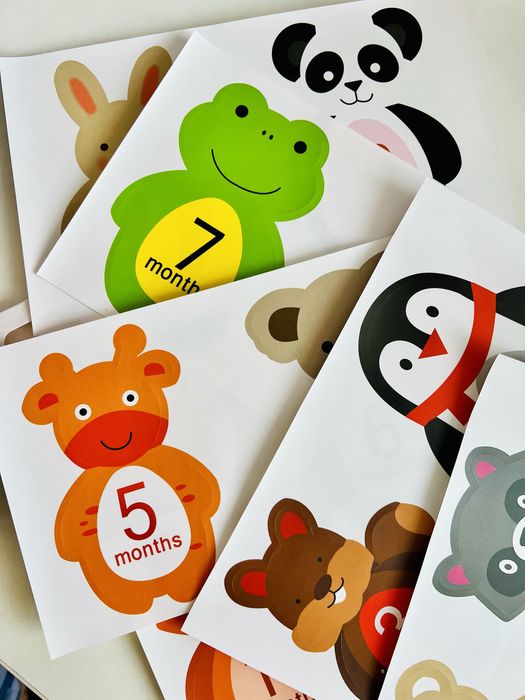 Stickere pentru body