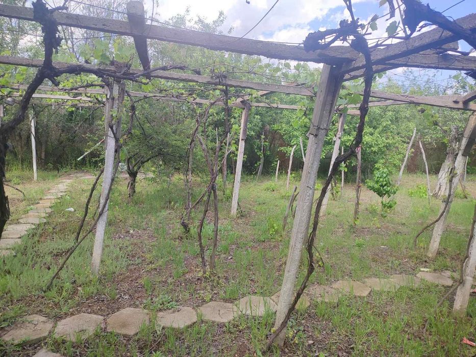 Вила с дворно място