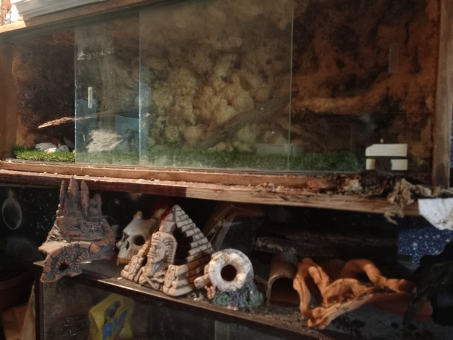 Декор аквариумный