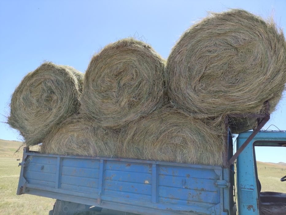 Продается сено в рулонах