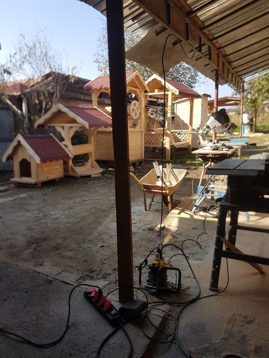 vand cusca caine. mica, mare.