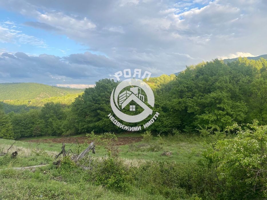 Продава се Парцел в с. Гълъбово, Област Пловдив - 1271 кв.м за 42 €/кв.м - Снимка #3