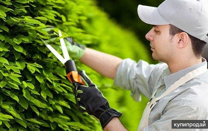 Услуги садовника