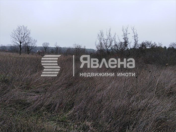 Продава се Земеделски имот в Царево -  кв.м за 31 €/дка - Снимка #2