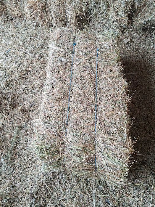 Vând baloți de fân.