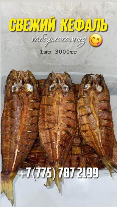 Капченый кефаль