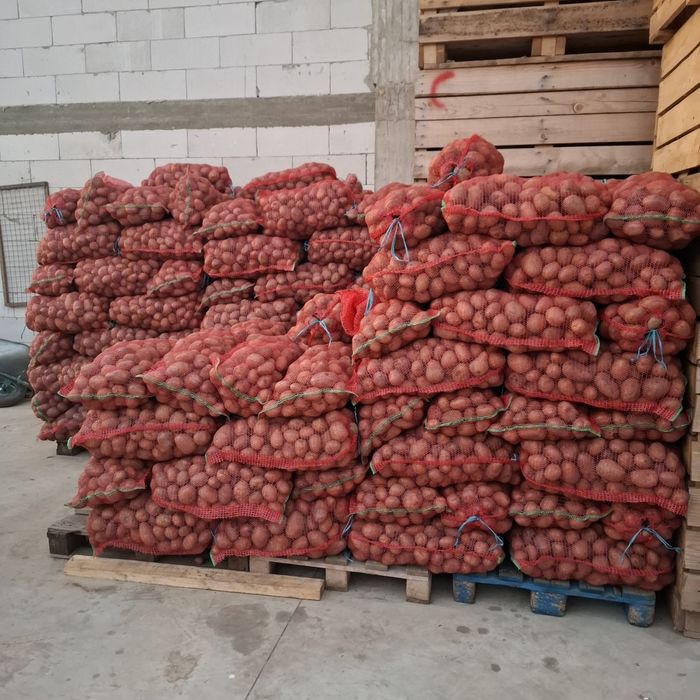 Cartofi roșu de consum