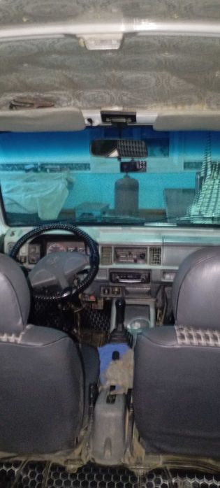 Damas 2009 peshku tumanida