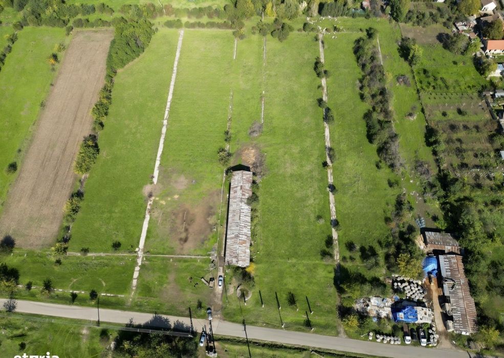 Hala de 430 mp cu teren intravilan 2,5 ha Macea