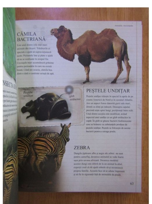Enciclopedie pentru copii-Animalele