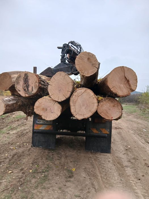 Vand lemn foc stejar