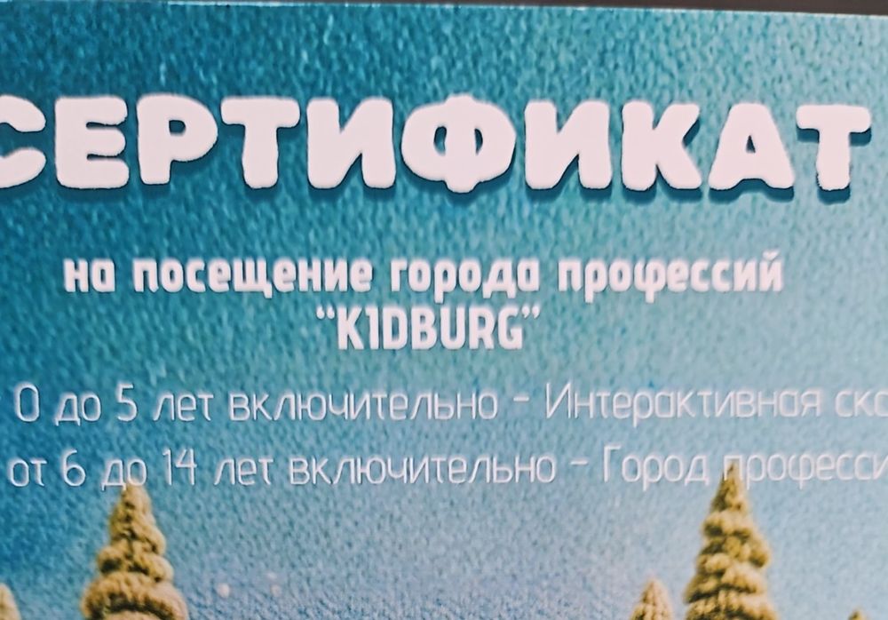 Сертификат  в "Kidburg"