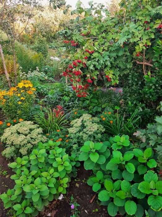 Продам дачу с домиком, торг