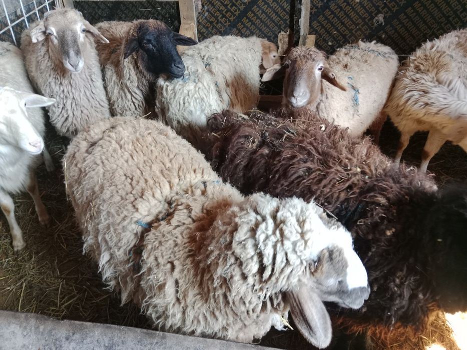 Срочно срочно продам