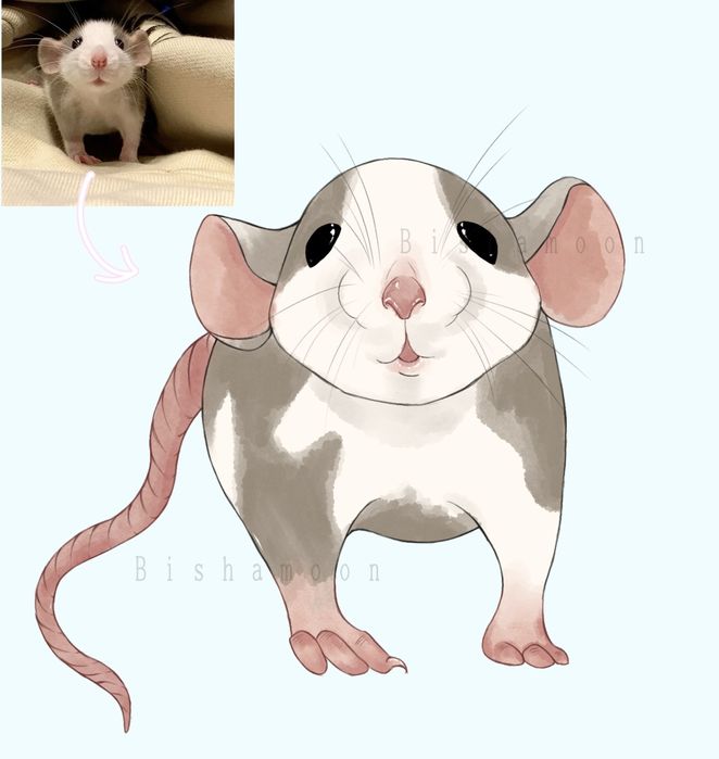 Рисунок питомца, нарисую питомца