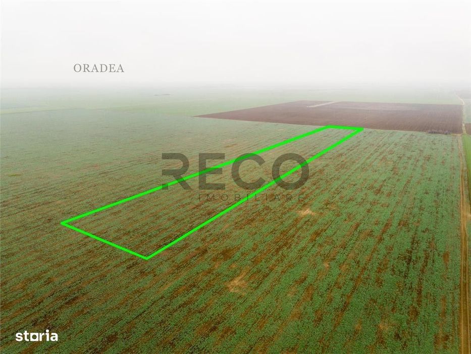 RECO Teren extravilan 5800 mp Livada de Bihor
